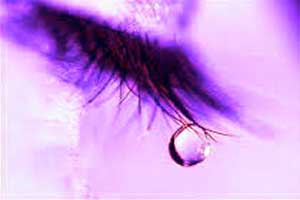 11_-images-9-kopi-2_ydelser_slider