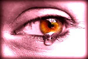 6a00d83_ydelser_slider